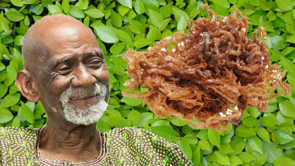 Fasting and Sea Moss