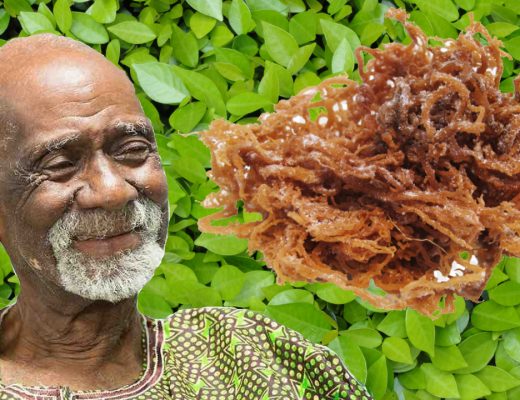 Fasting and Sea Moss