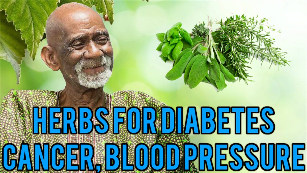 Dr Sebi Herbs For Cancer