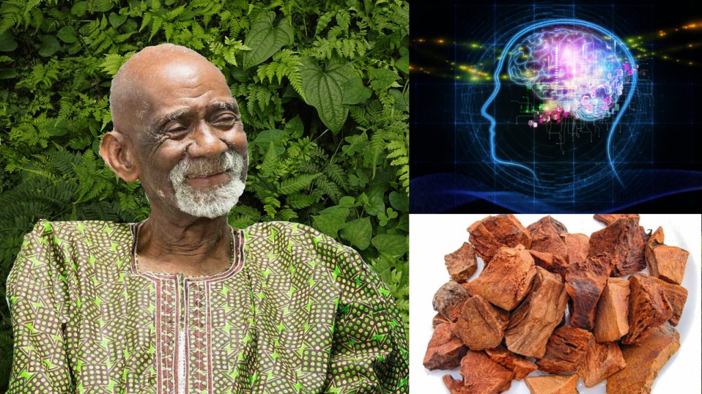 Herbs For Brain System