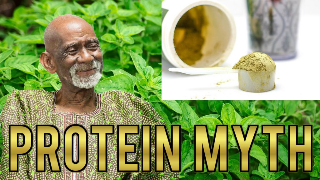 protein myth