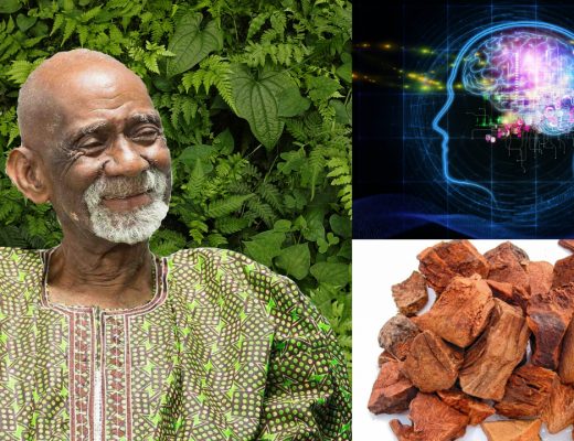 Herbs For Brain System