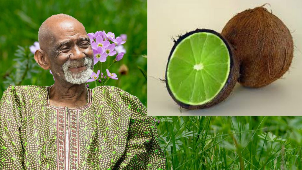 Eva Salve Benefits