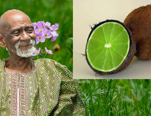Eva Salve Benefits