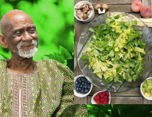 Dr Sebi Food List