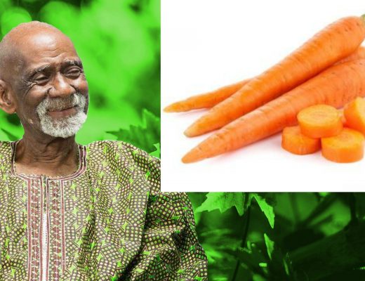 Carrots Dr Sebi