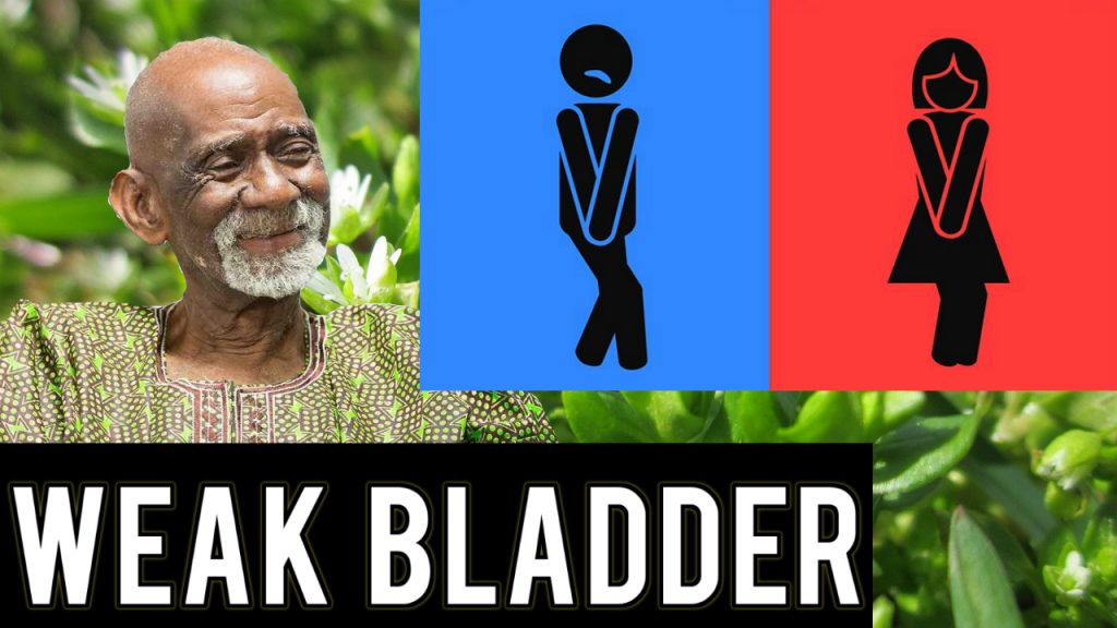 Weak Bladder Dr Sebi