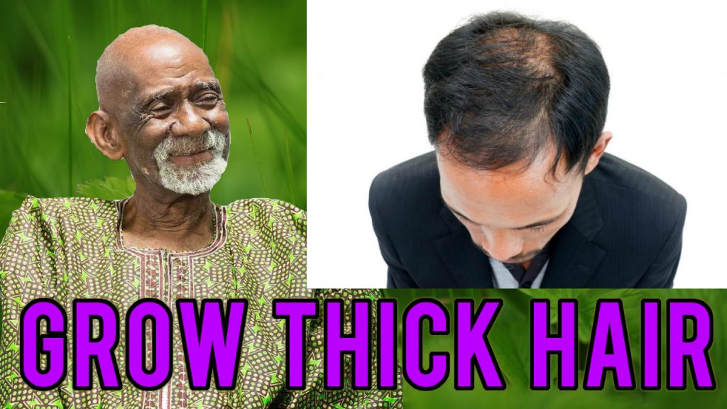 Dr Sebi Hair Food