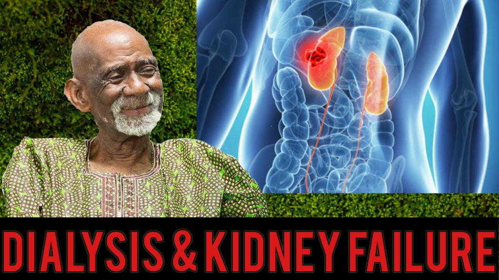 Kidneys Dr Sebi