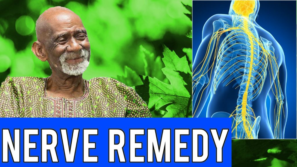 Nervous System Dr Sebi