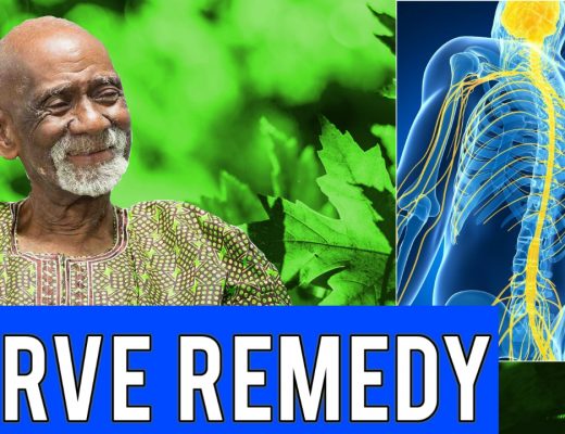 Nervous System Dr Sebi