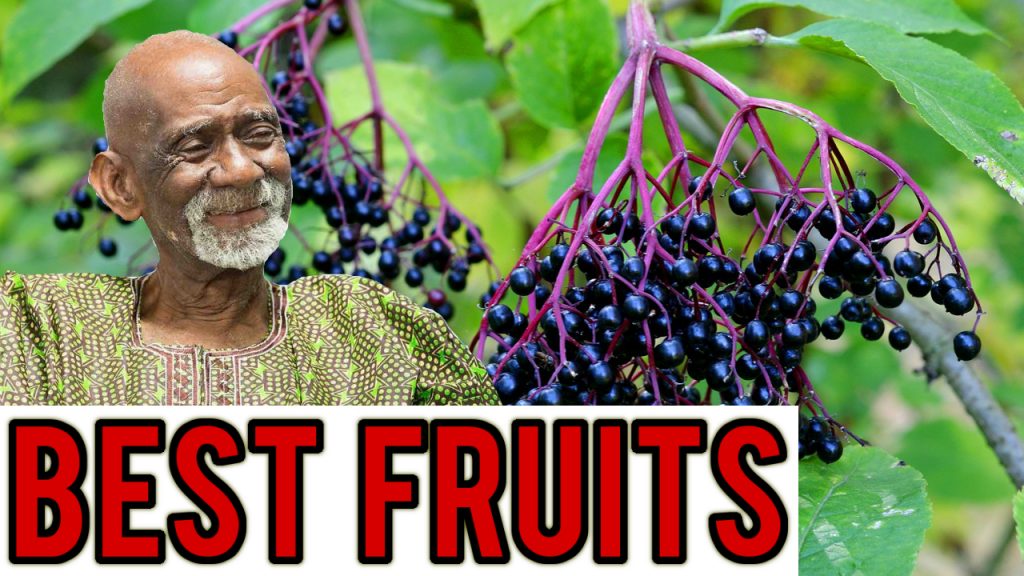 Fruits Dr Sebi