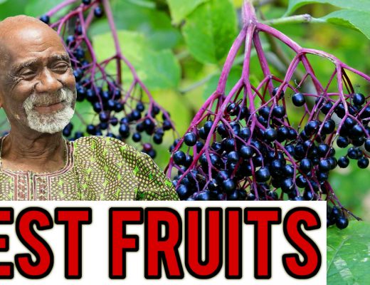 Fruits Dr Sebi