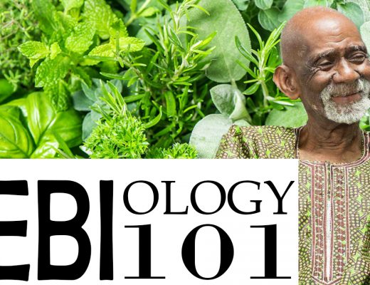 Bio Mineral Balance Diet