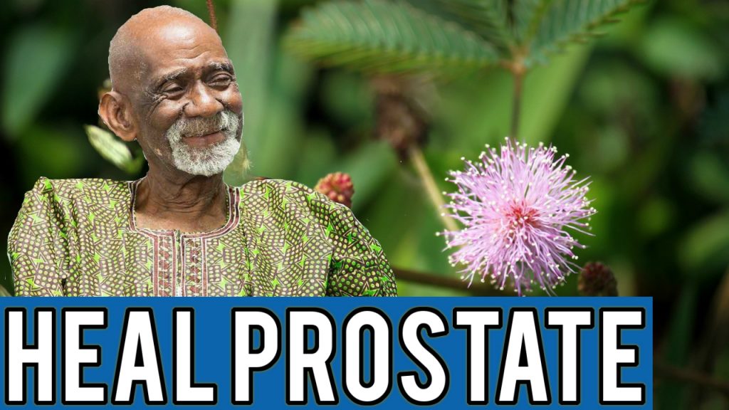 Prostate Cancer Dr Sebi