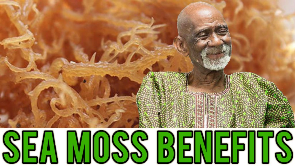Sea Moss Dr Sebi