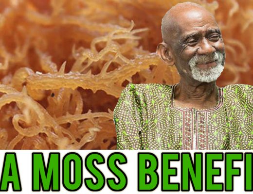 Sea Moss Dr Sebi