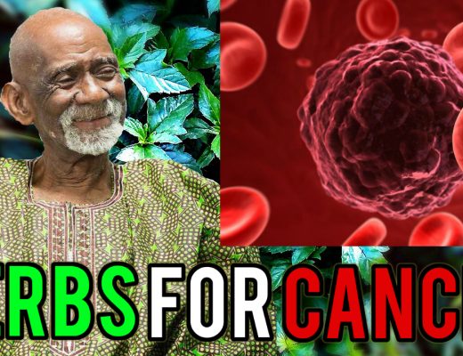 Cancer Dr Sebi