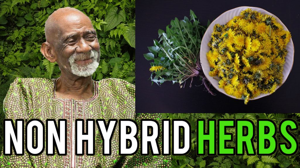 Herbs To Eat Dr Sebi