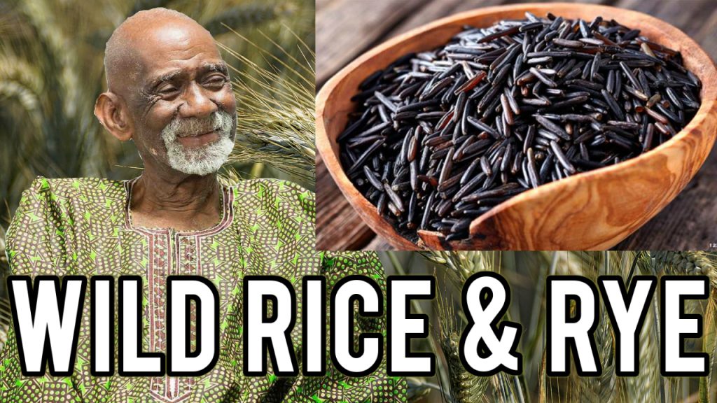 Wild Rice