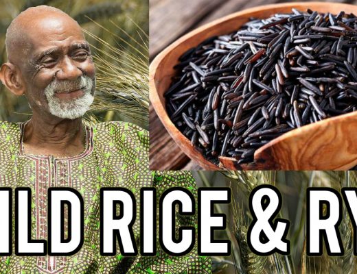 Wild Rice