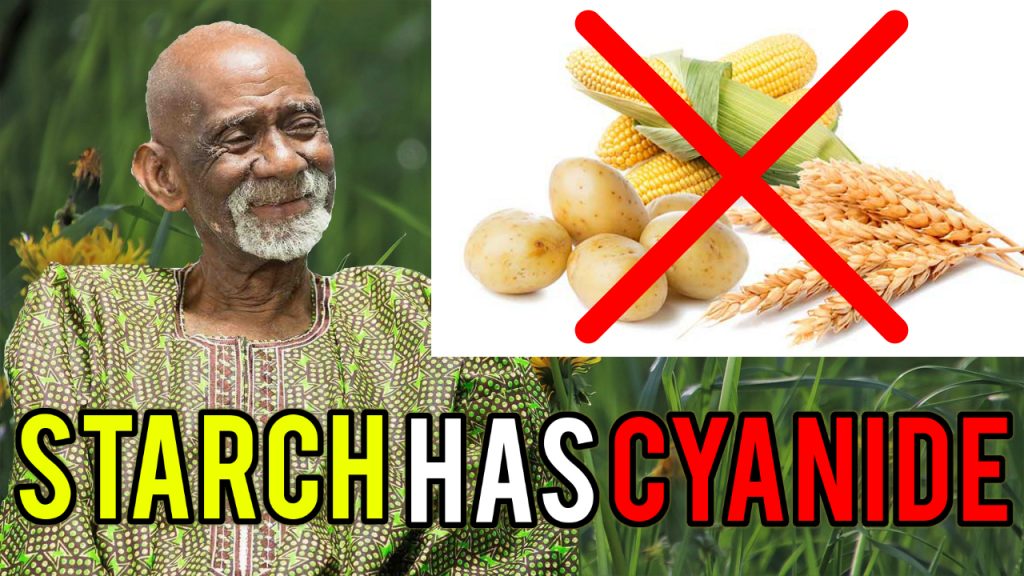 Starch Dr Sebi