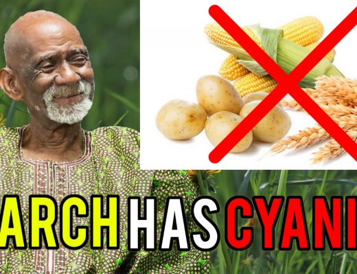 Starch Dr Sebi