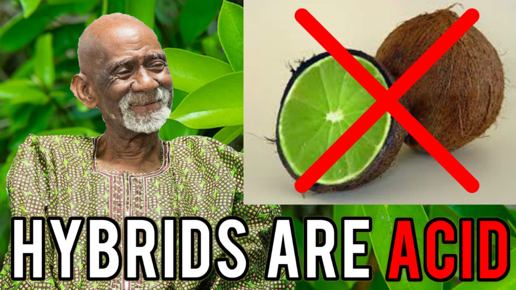 Hybrid Foods Dr Sebi